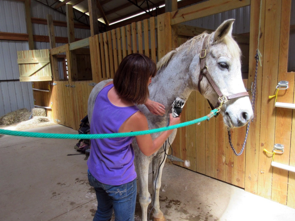 new 350w electric horse clipper grooming shears